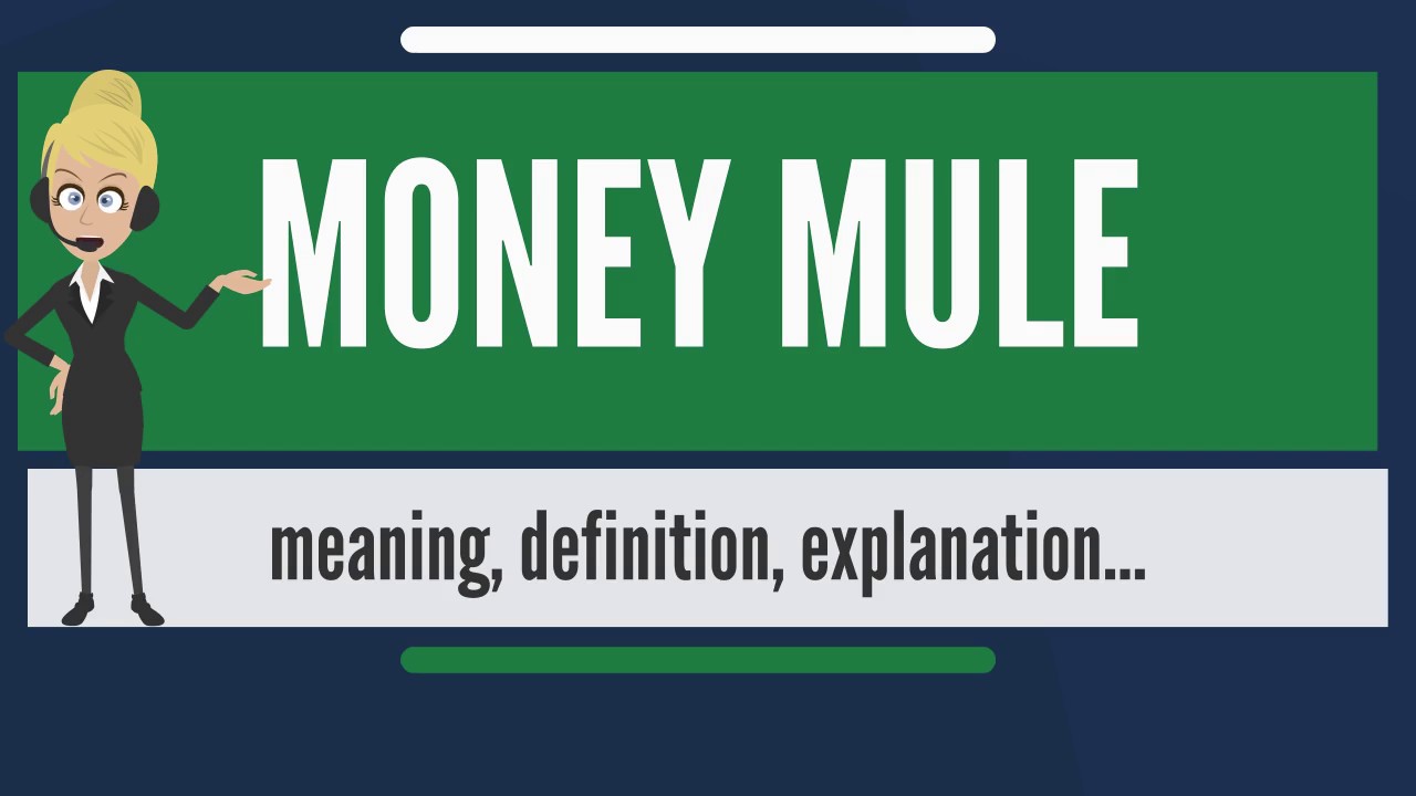 What is Money Mule, All You Need to Know About Money Mules.